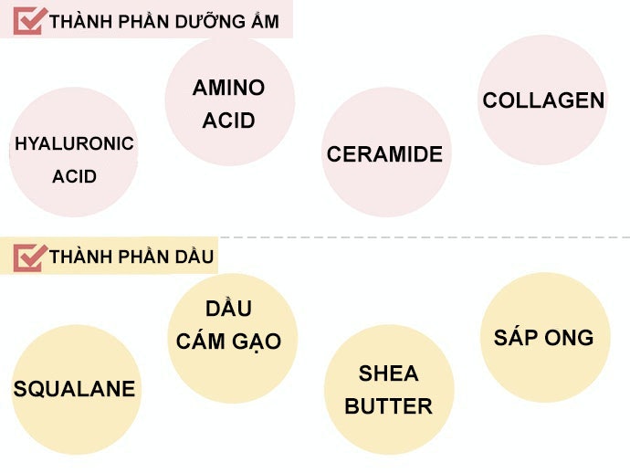 Thành Phần Dưỡng Ẩm: Thúc Đẩy Tái Tạo, Giúp Da Mau Nhả Nắng