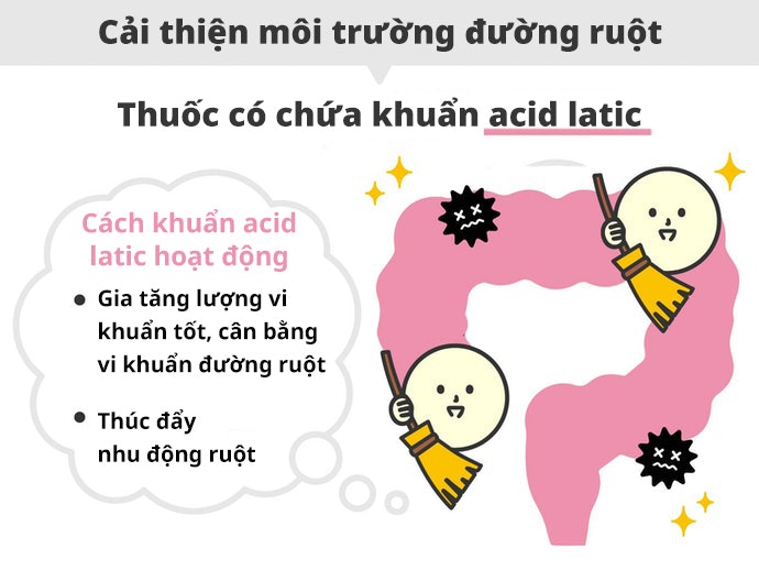 Khuẩn Acid Lactic Giúp Cải Thiện Chức Năng Đường Ruột