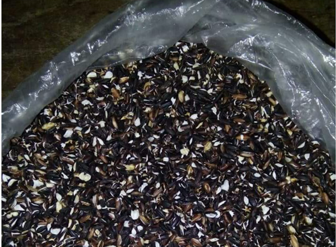 Tiện Lợi Hơn Với Gạo Nếp Cẩm Rang