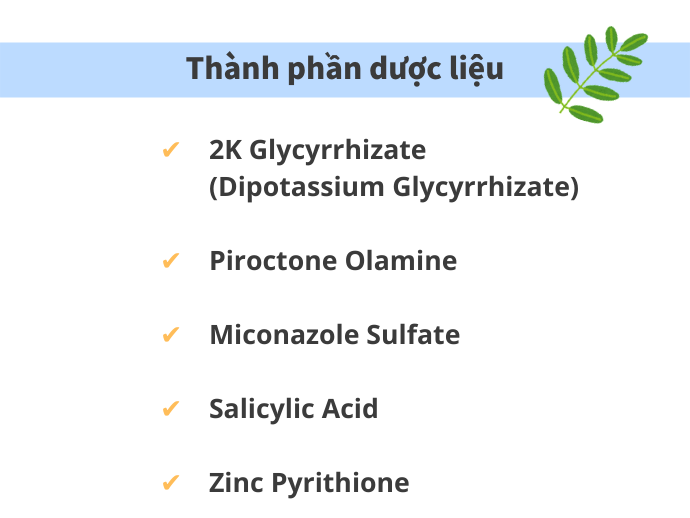 Lo Lắng Vấn Đề Về Da Đầu: Chọn Dầu Gội Dược Liệu