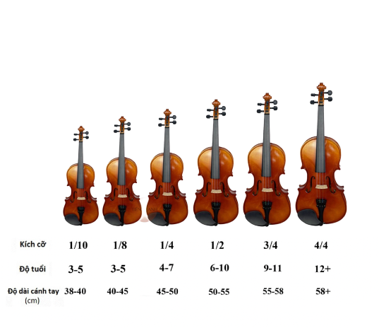 2023] Top 10 Đàn Violin tốt nhất hiện nay cho người mới học [Tư Vấn Từ  Chuyên Gia] | mybest