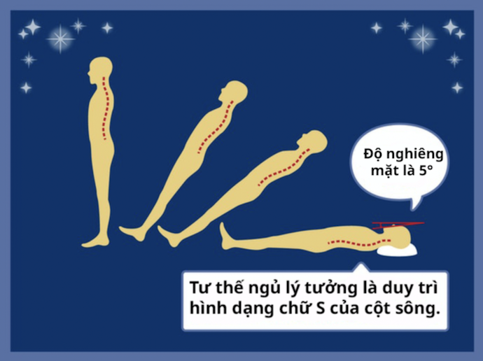 Chọn Chiều Cao Gối Phù Hợp, Dễ Chịu