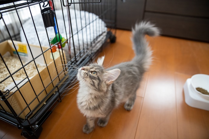 Chọn Chuồng Dễ Lắp Ráp, Có Thể Tháo Ra Nếu Cần Di Chuyển Thường Xuyên