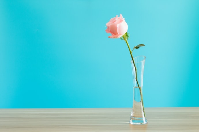 Bình Hoa Cắm Một Bông Cho Người Mới Bắt Đầu