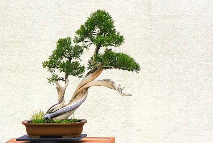 Lựa Chọn Theo Ý Nghĩa Phong Thuỷ
