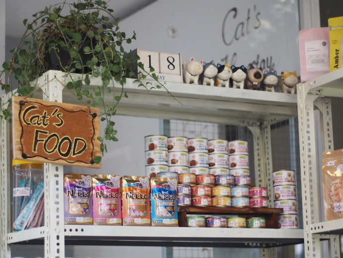 Chọn Quán Cafe Có Bán Thức Ăn Cho Thú Cưng