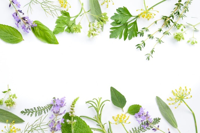 Chọn Loại Có Mùi Hương Yêu Thích