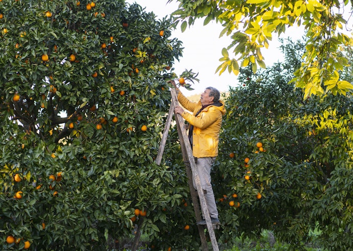 Chú Ý Đến Xuất Xứ Nguyên Liệu
