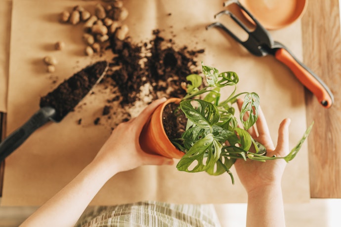 Chọn Phân Bón Phù Hợp Loại Cây Trồng