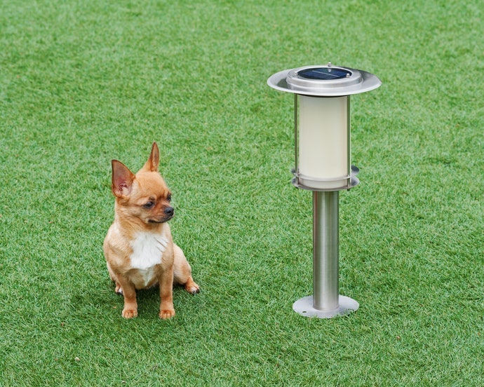 Kiểm Tra Đường Dây Điện Và Vị Trí Lắp Đặt Nếu Có Vật Nuôi