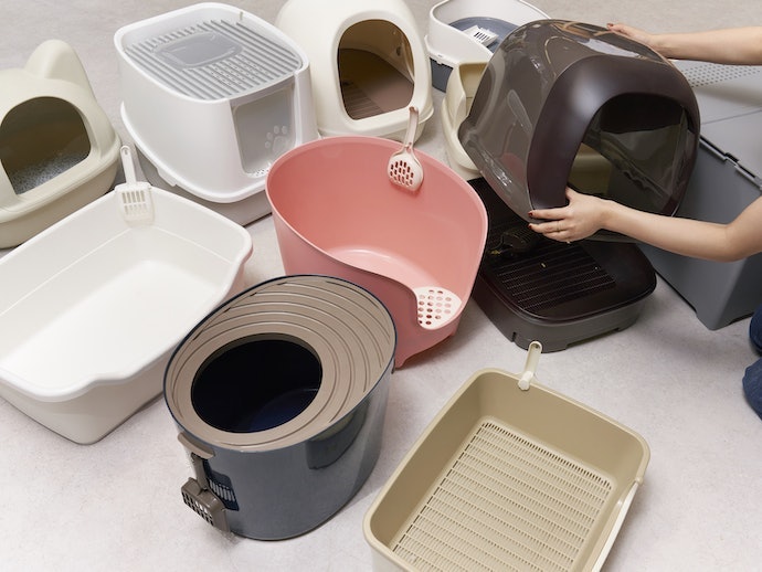 Nếu Mèo Hay Đi Bậy Dù Có Toilet: Chú Ý Tới Độ Cao Và Vị Trí Cửa Ra Vào