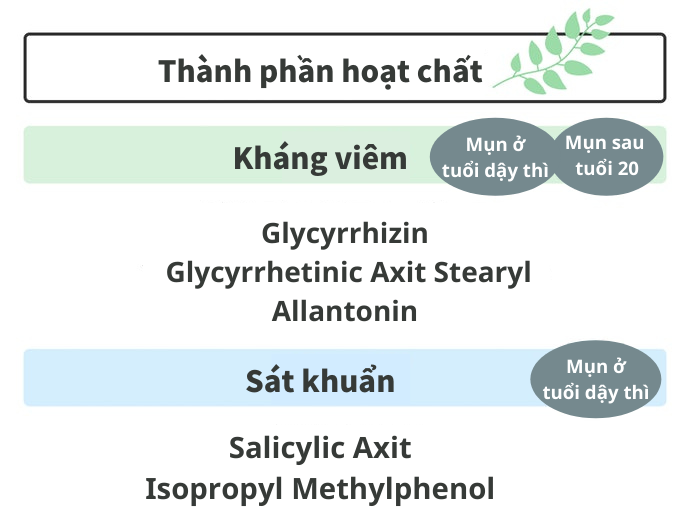 Thành Phần Kháng Viêm, Sát Khuẩn Để Ngừa Mụn Xuất Hiện