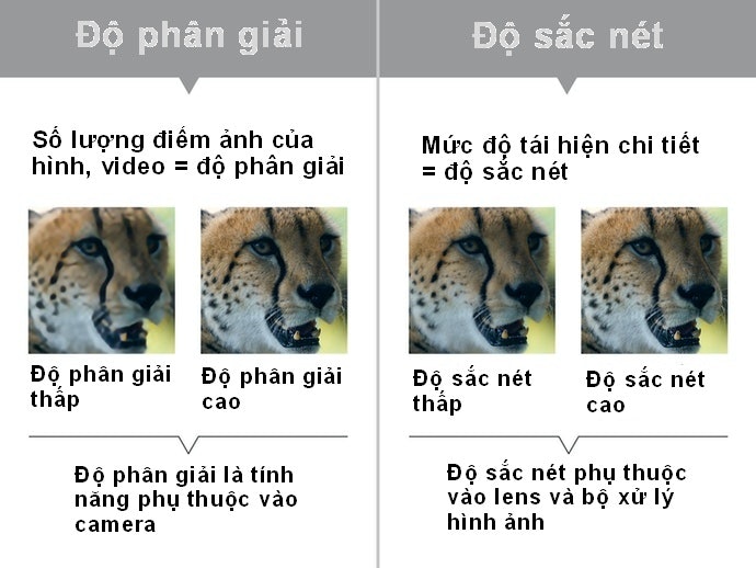 Chọn Máy Có Độ Phân Giải, Sắc Nét Cao Hay Chất Lượng 4K