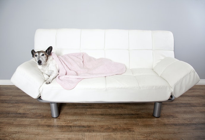 Chọn Sofa Giường Dài Bằng Chiều Cao Cơ Thể + 20 - 30cm