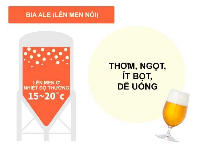 Bia Ale - Lên Men Nổi: Cảm Nhận Hương Vị Phong Phú