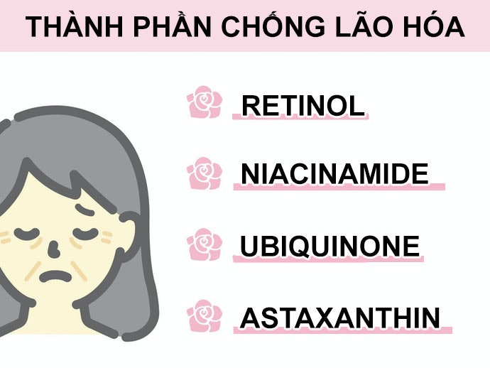 Da Lão Hóa: Chọn Thành Phần Chống Lão Hóa, Cải Thiện Độ Đàn Hồi