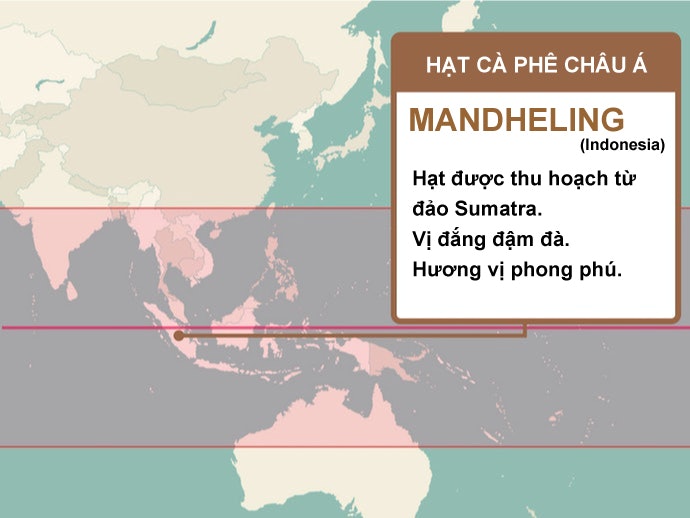 Châu Á: Đặc Trưng Bởi Vị Đắng Đậm Đà