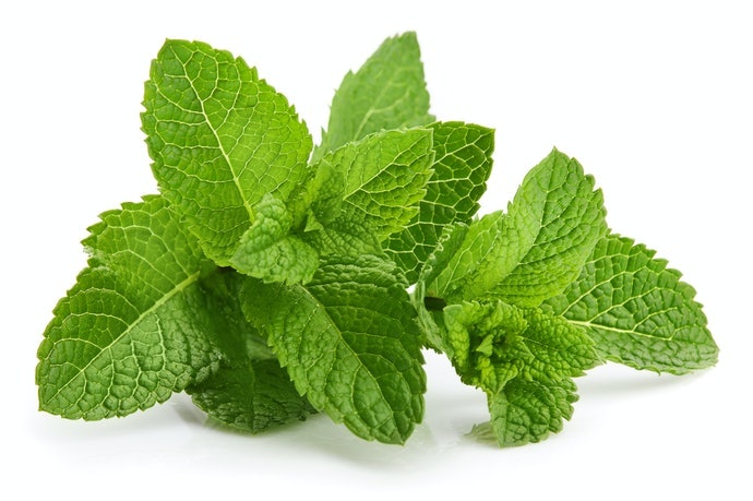 Sảng Khoái Thư Giãn Với Peppermint