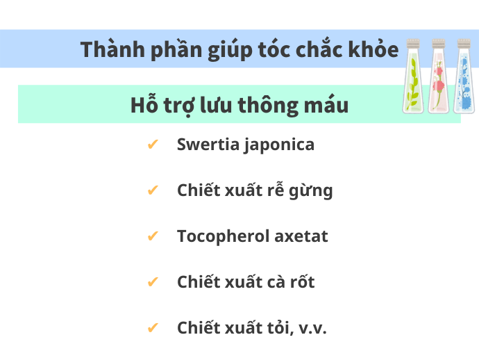 Thành Phần Thúc Đẩy Quá Trình Lưu Thông Máu: Giúp Tóc Chắc Khỏe