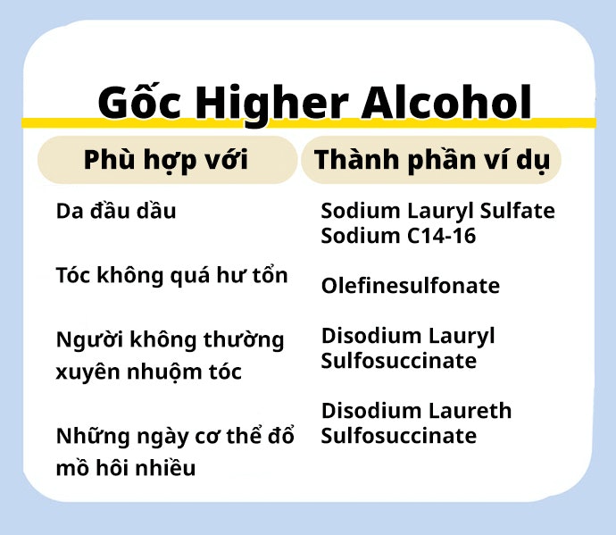 Higher Alcohol: Phù Hợp Da Đầu Dầu, Chú Trọng Sự Sảng Khoái