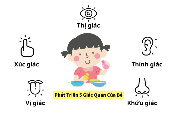 Giáo Cụ Cảm Quan: Kích Thích Các Giác Quan Thuở Sơ Khai