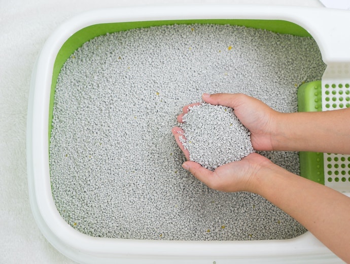 Khoáng Bentonite: Cảm Giác Giống Cát Thật, Tuy Nhiên Dễ Rơi Vãi, Nên Dùng Kèm Thảm Chùi Chân Cho Mèo