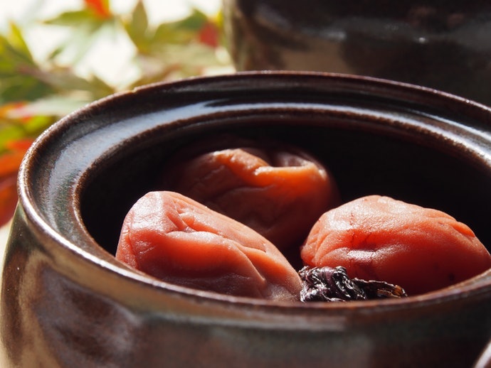 Chất Liệu Gốm: Khuyến Khích Sử Dụng Cho Quá Trình Lên Men Chậm