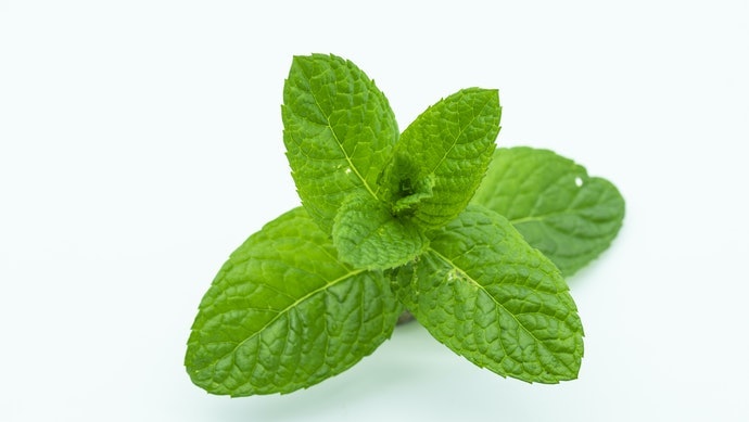 Menthol Và Tinh Dầu Bạc Hà: Giúp Miệng Sạch Thơm
