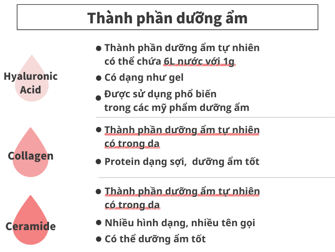 Axit Amin, Axit Hyaluronic: Dưỡng Ẩm Tự Nhiên