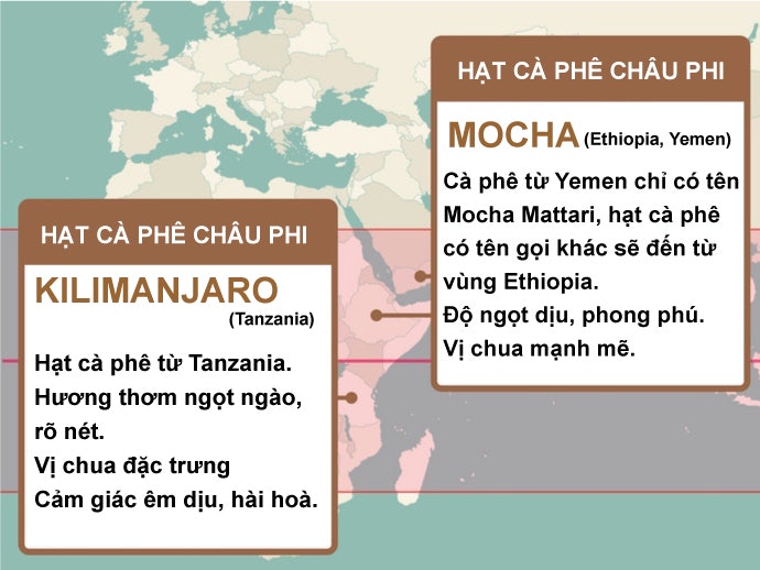 Châu Phi: Độ Chưa Đặc Trưng, Phù Hợp Để Giải Khát