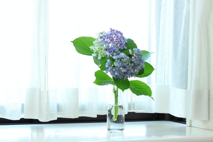 Loại Gắn Cửa Sổ: Gọn Gàng, Vẫn Nhìn Được Đồ Trang Trí