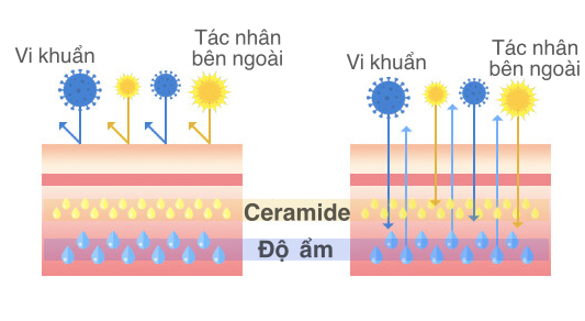 Da Khô: Chọn Các Thành Phần Chuyên Cấp Ẩm