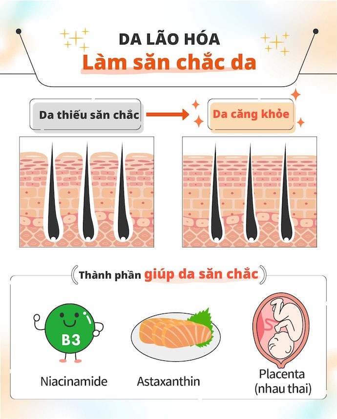 Da Dầu Mụn + Lão Hóa: Chọn Thành Phần Chống Lão Hóa, Cải Thiện Độ Đàn Hồi
