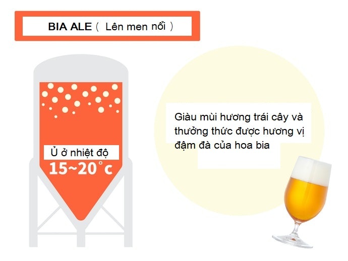Lên Men Nổi: Nếu Bạn Muốn Thưởng Thức Hương Vị Đậm Đà Và Đa Dạng