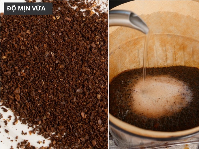 Pha Cà Phê Thông Thường: Loại Cánh Quạt Với Độ Mịn Vừa Đủ