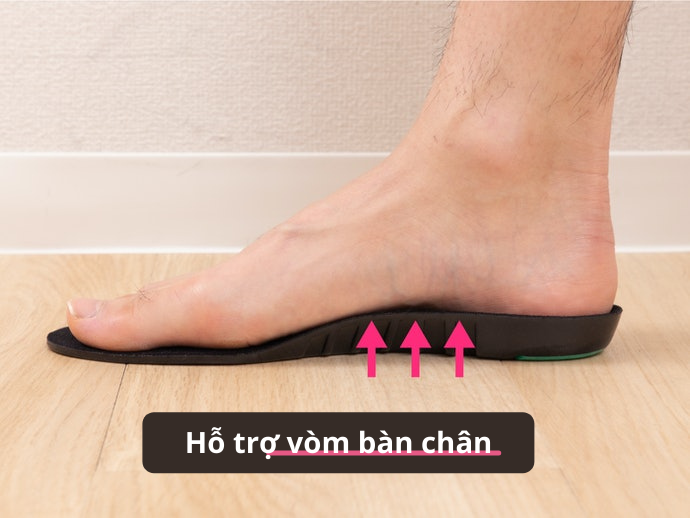 Chức Năng Hỗ Trợ Vòm: Nâng Đỡ Vòm Chân, Giảm Áp Lực Cho Chân