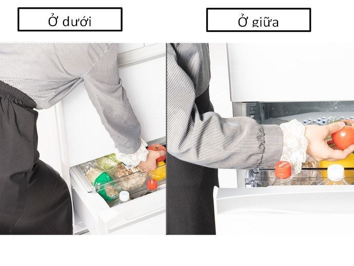 Lưu Ý Vị Trí Của Ngăn Đựng Rau Củ