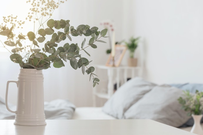 Nội Thất Kiểu Pháp Nhẹ Nhàng: Cây Ô Liu, Thảo Mộc, v.v
