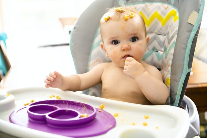 Loại Đĩa: Thưởng Thức Nhiều Loại Thực Phẩm Dễ Dàng