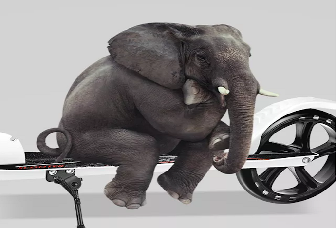 Tải Trọng Tối Đa Của Scooter Từ 80 Kg Trở Lên Đảm Bảo An Toàn Cho Người Lái