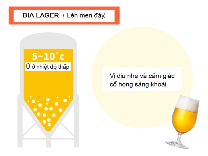 Lên Men Chìm: Nếu Bạn Yêu Thích Cảm Giác Dễ Nuốt Và Sảng Khoái