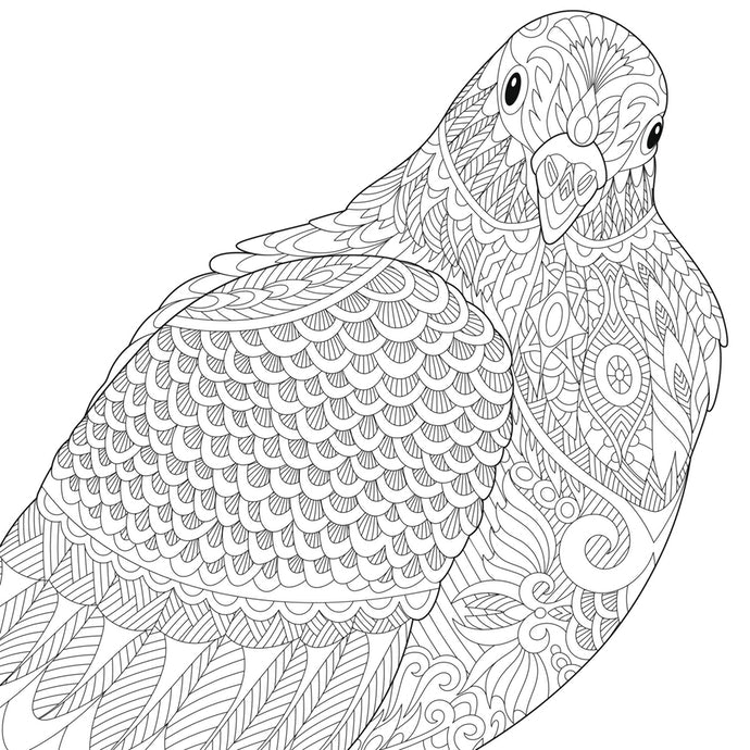 Trung Cấp – Một Hình Ảnh Có Nhiều Chi Tiết