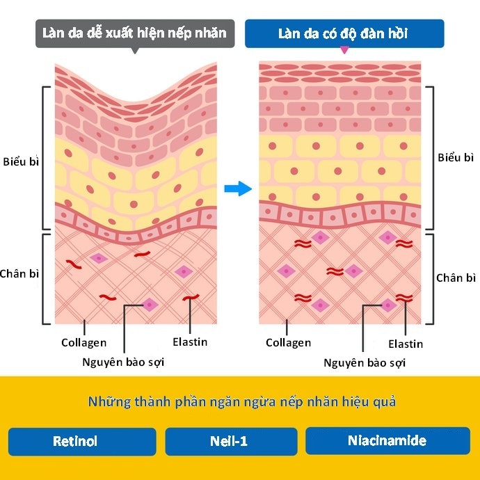 Chống Lão Hóa, Cải Thiện Nếp Nhăn: Chọn Kem Mắt Chứa Retinol, Niacinamide, Peptide, v.v.