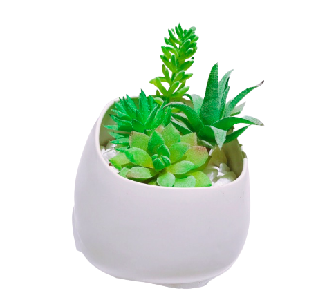 Men Sứ, Đất Nung: Sang Trọng, Nhiều Màu Sắc