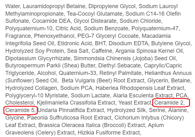 Tóc Khô Xơ: Chọn Dầu Gội Chứa Ceramide
