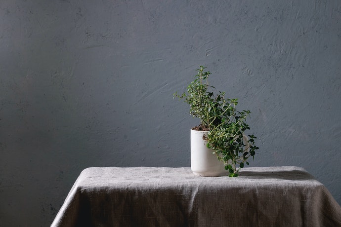 Vải Linen: Chất Liệu Tự Nhiên, Độ Bền Cao