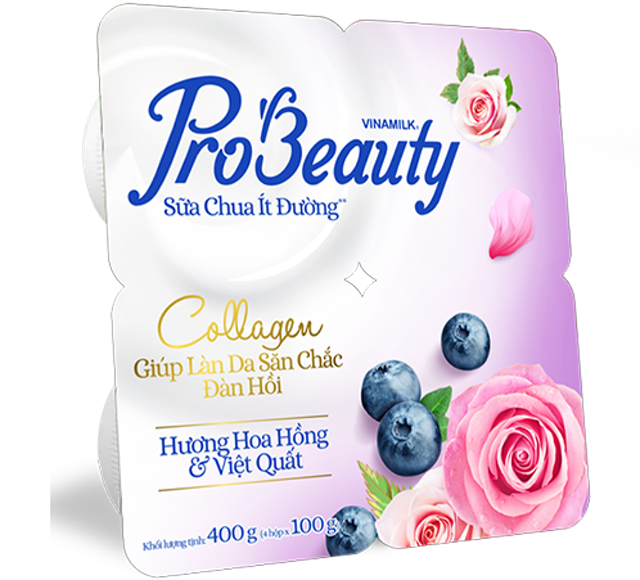 Sữa Chua Hộp Nhỏ Vừa Đủ 1 Phần Ăn