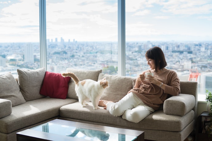 Đệm Sofa Vải: Trẻ Trung, Dễ Phối Màu, Thoải Mái