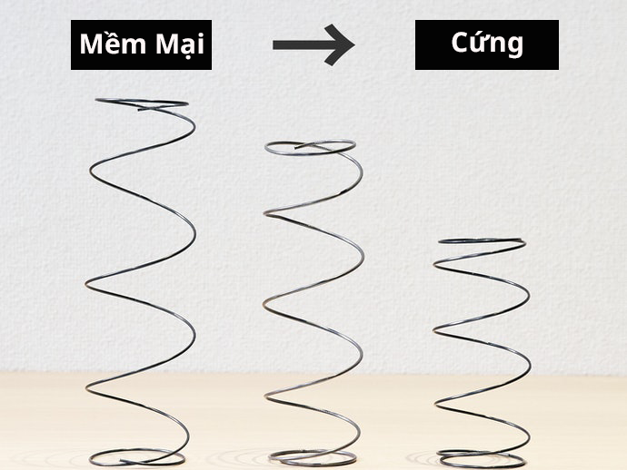 Độ Đàn Hồi Của Nệm Phụ Thuộc Vào Số Vòng Dây