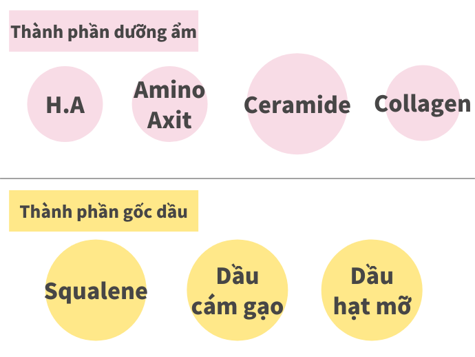 Da Khô: Thành Phần Giữ Ẩm Và Dầu Dưỡng Ẩm